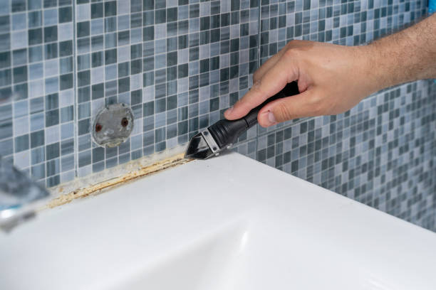 Best Local Mold Removal Service  in San Bruno, CA
