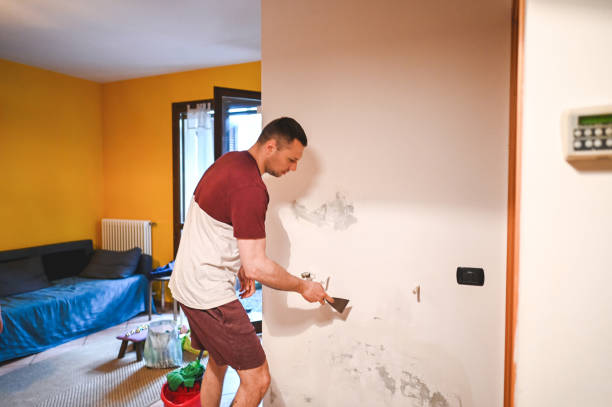 Best Residential Mold Removal  in San Bruno, CA